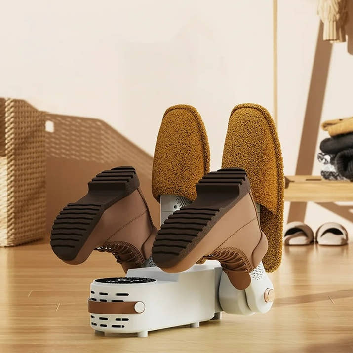 Electric Shoe Dryer